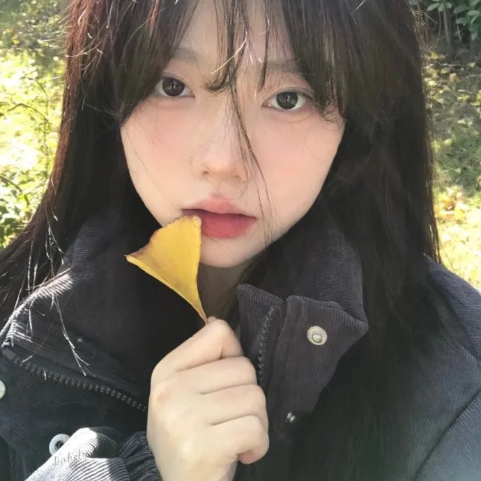 刑警之海外行动