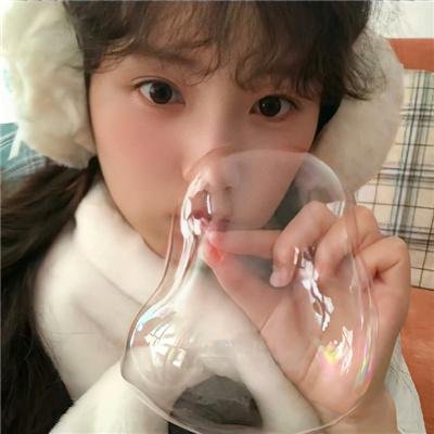 拳影人生